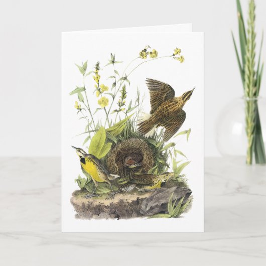 Audubon Oostelijke Meadowlard Feestdagen Kaart (Voorkant)