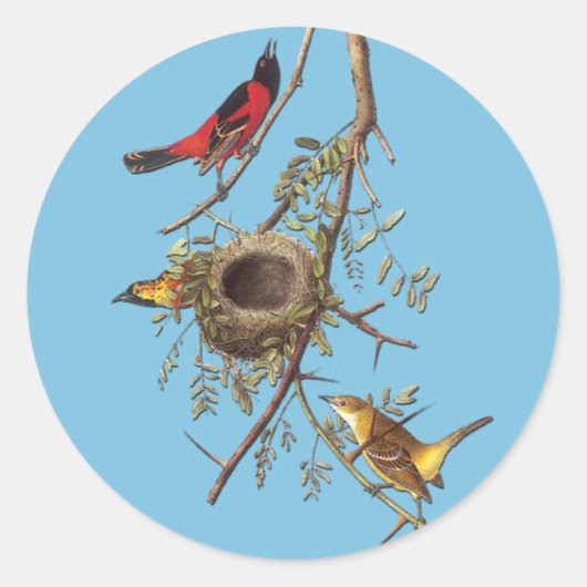 Audubon Orchard Oriole Bird Art Stickers (Voorkant)