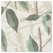 Audubon Oriole Veel vogelsoorten - in het wild lev Stof (Close Up)