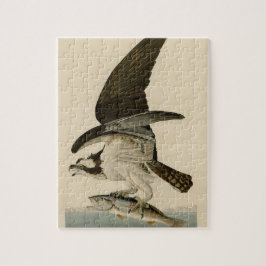  Audubon Osprey Bird Painting Gift Legpuzzel