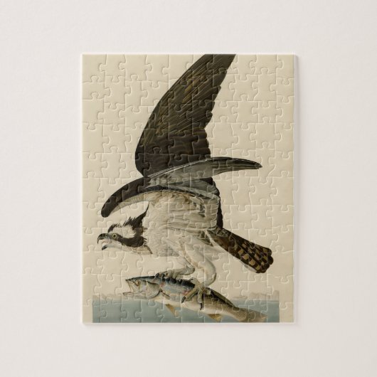  Audubon Osprey Bird Painting Gift Legpuzzel (Verticaal)