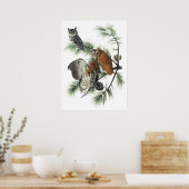 Audubon Owls Poster (Keuken)
