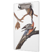 Audubon Paar of Kissing Passenger Pigeons Grocery Klembord (Links)