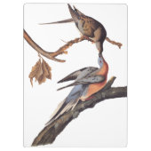 Audubon Paar of Kissing Passenger Pigeons Grocery Klembord (Achterkant)