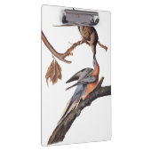 Audubon Paar of Kissing Passenger Pigeons Grocery Klembord (Rechts)