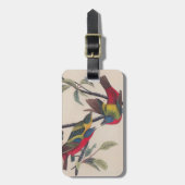 Audubon Painted Bunting Bird Wildlife Bagagelabel (Voorkant verticaal)