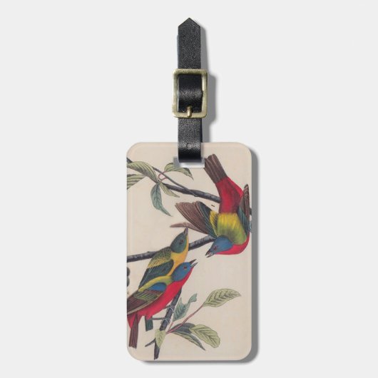 Audubon Painted Bunting Bird Wildlife Bagagelabel (Voorkant verticaal)