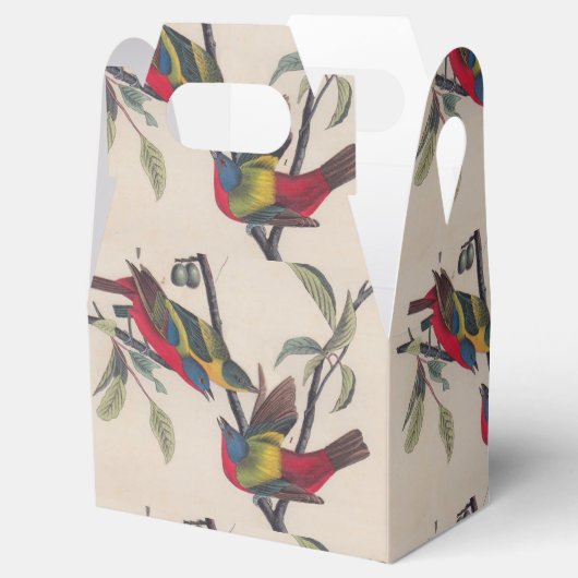 Audubon Painted Bunting Bird Wildlife Bedankdoosjes (Geopend)