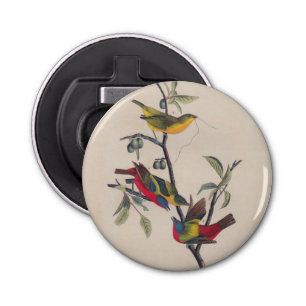 Audubon Painted Bunting Bird Wildlife Button Flesopener