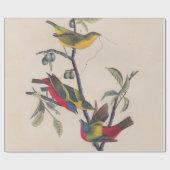Audubon Painted Bunting Bird Wildlife Cadeaupapier (Vlak)
