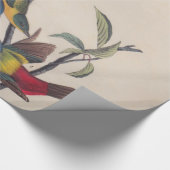 Audubon Painted Bunting Bird Wildlife Cadeaupapier (Hoek)