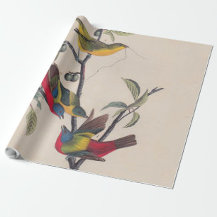 Audubon Painted Bunting Bird Wildlife Cadeaupapier