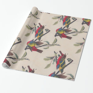 Audubon Painted Bunting Bird Wildlife Cadeaupapier