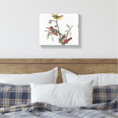Audubon Painted Bunting Bird Wildlife Canvas Afdruk (Insitu (Slaapkamer))