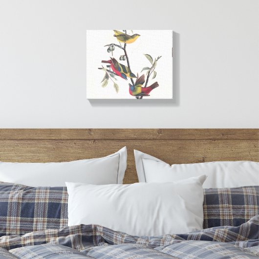 Audubon Painted Bunting Bird Wildlife Canvas Afdruk (Insitu (Slaapkamer))