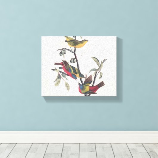 Audubon Painted Bunting Bird Wildlife Canvas Afdruk (Insitu (Houten vloer))