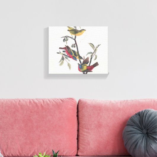 Audubon Painted Bunting Bird Wildlife Canvas Afdruk (Insitu (Woonkamer))