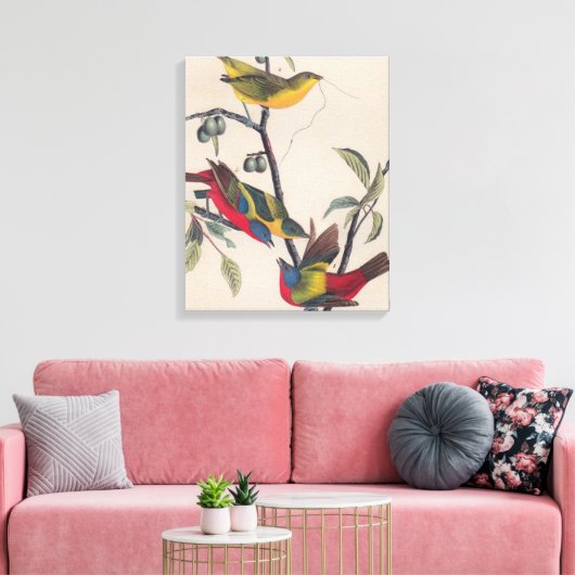 Audubon Painted Bunting Bird Wildlife Canvas Afdruk (Insitu (Woonkamer))