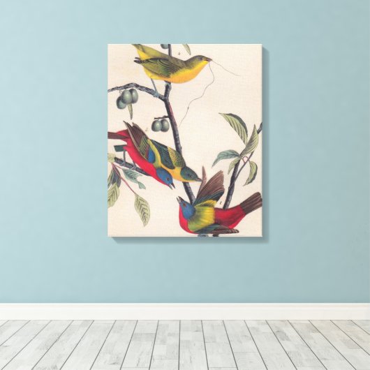 Audubon Painted Bunting Bird Wildlife Canvas Afdruk (Insitu (Houten vloer))
