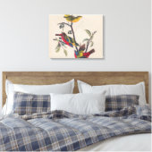 Audubon Painted Bunting Bird Wildlife Canvas Afdruk (Insitu (Slaapkamer))