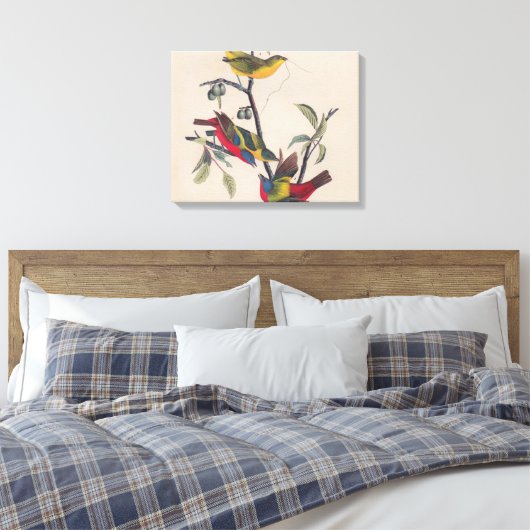 Audubon Painted Bunting Bird Wildlife Canvas Afdruk (Insitu (Slaapkamer))