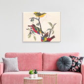 Audubon Painted Bunting Bird Wildlife Canvas Afdruk (Insitu (Woonkamer))