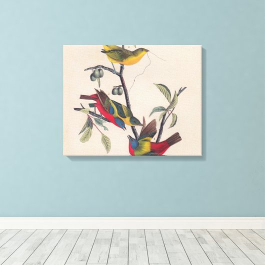 Audubon Painted Bunting Bird Wildlife Canvas Afdruk (Insitu (Houten vloer))