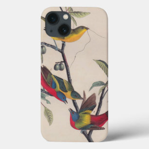 Audubon Painted Bunting Bird Wildlife Case-Mate iPhone Case