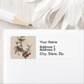 Audubon Painted Bunting Bird Wildlife Etiket (Insitu)