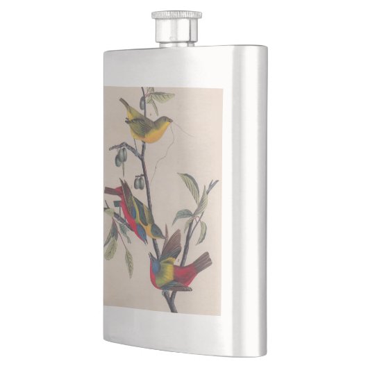 Audubon Painted Bunting Bird Wildlife Heupfles (Links)