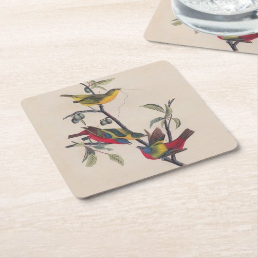 Audubon Painted Bunting Bird Wildlife Kartonnen Onderzetters (Schuin)