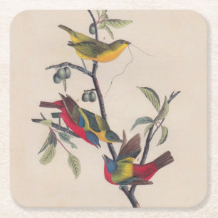 Audubon Painted Bunting Bird Wildlife Kartonnen Onderzetters