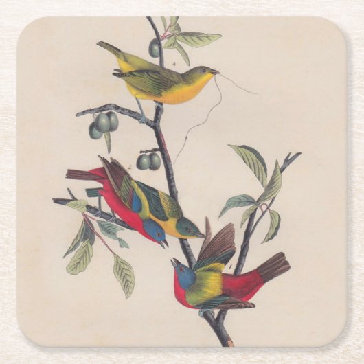 Audubon Painted Bunting Bird Wildlife Kartonnen Onderzetters (Voorkant)