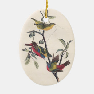 Audubon Painted Bunting Bird Wildlife Keramisch Ornament