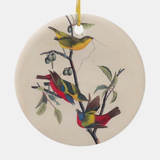 Audubon Painted Bunting Bird Wildlife Keramisch Ornament (Achterkant)