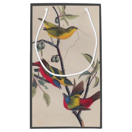 Audubon Painted Bunting Bird Wildlife Klein Cadeauzakje (Achterkant)