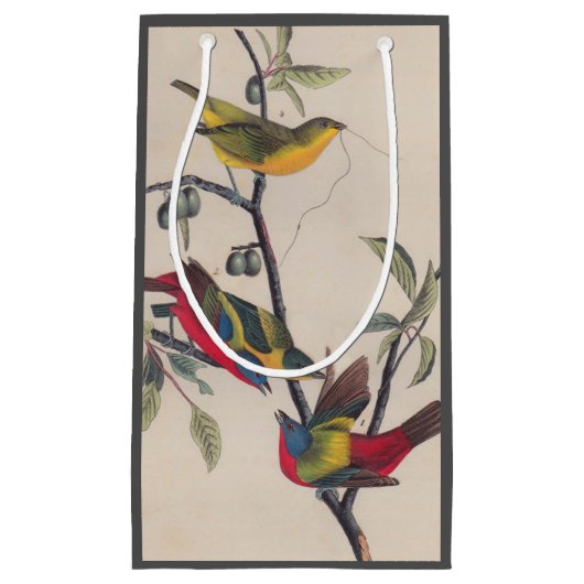Audubon Painted Bunting Bird Wildlife Klein Cadeauzakje (Voorkant)