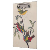 Audubon Painted Bunting Bird Wildlife Klembord (Links)