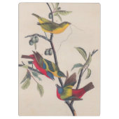 Audubon Painted Bunting Bird Wildlife Klembord (Achterkant)