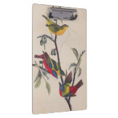 Audubon Painted Bunting Bird Wildlife Klembord (Rechts)