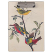 Audubon Painted Bunting Bird Wildlife Klembord (Voorkant)