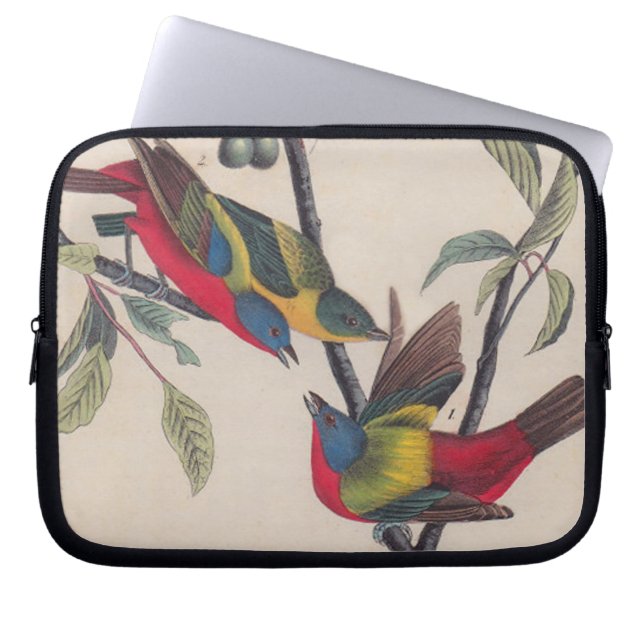 Audubon Painted Bunting Bird Wildlife Laptop Sleeve (Voorkant)