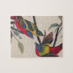 Audubon Painted Bunting Bird Wildlife Legpuzzel