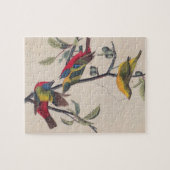 Audubon Painted Bunting Bird Wildlife Legpuzzel (Horizontaal)
