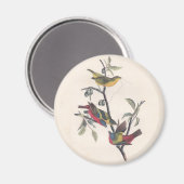 Audubon Painted Bunting Bird Wildlife Magneet (Voorkant / Achterkant)