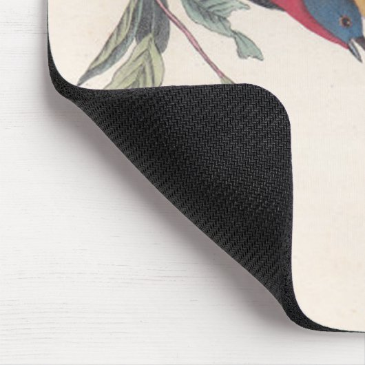 Audubon Painted Bunting Bird Wildlife Muismat (Hoek)