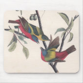 Audubon Painted Bunting Bird Wildlife Muismat (Voorkant)