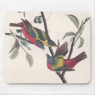 Audubon Painted Bunting Bird Wildlife Muismat