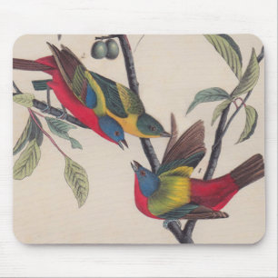 Audubon Painted Bunting Bird Wildlife Muismat