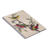 Audubon Painted Bunting Bird Wildlife Notitieboek (Rechterzijde)
